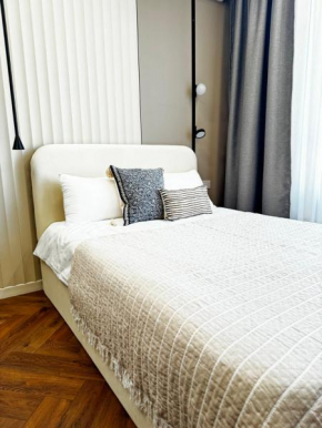 Luxury apartment in the center